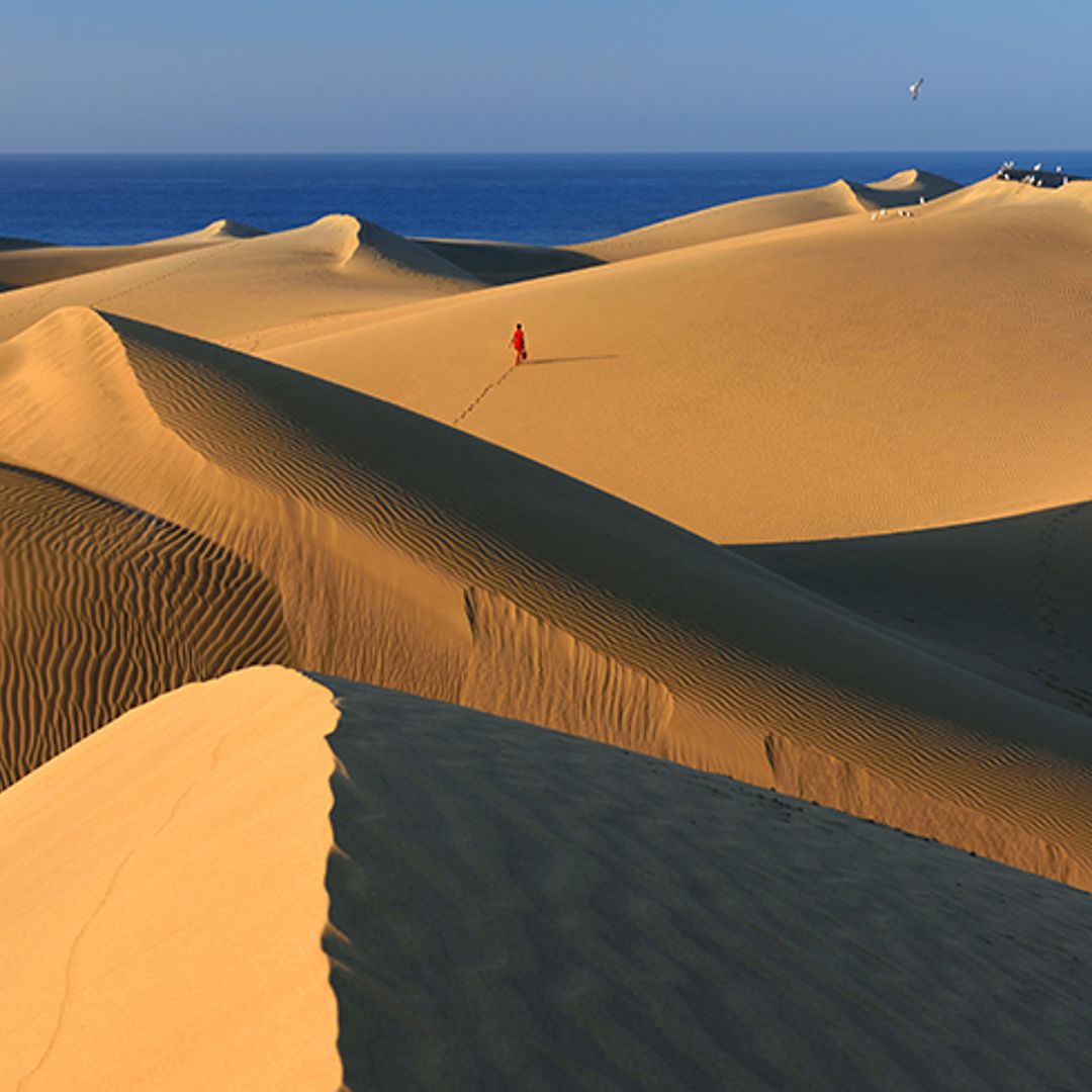 Del mar a la cumbre, una ruta en coche de Maspalomas al Roque Nublo y más allá