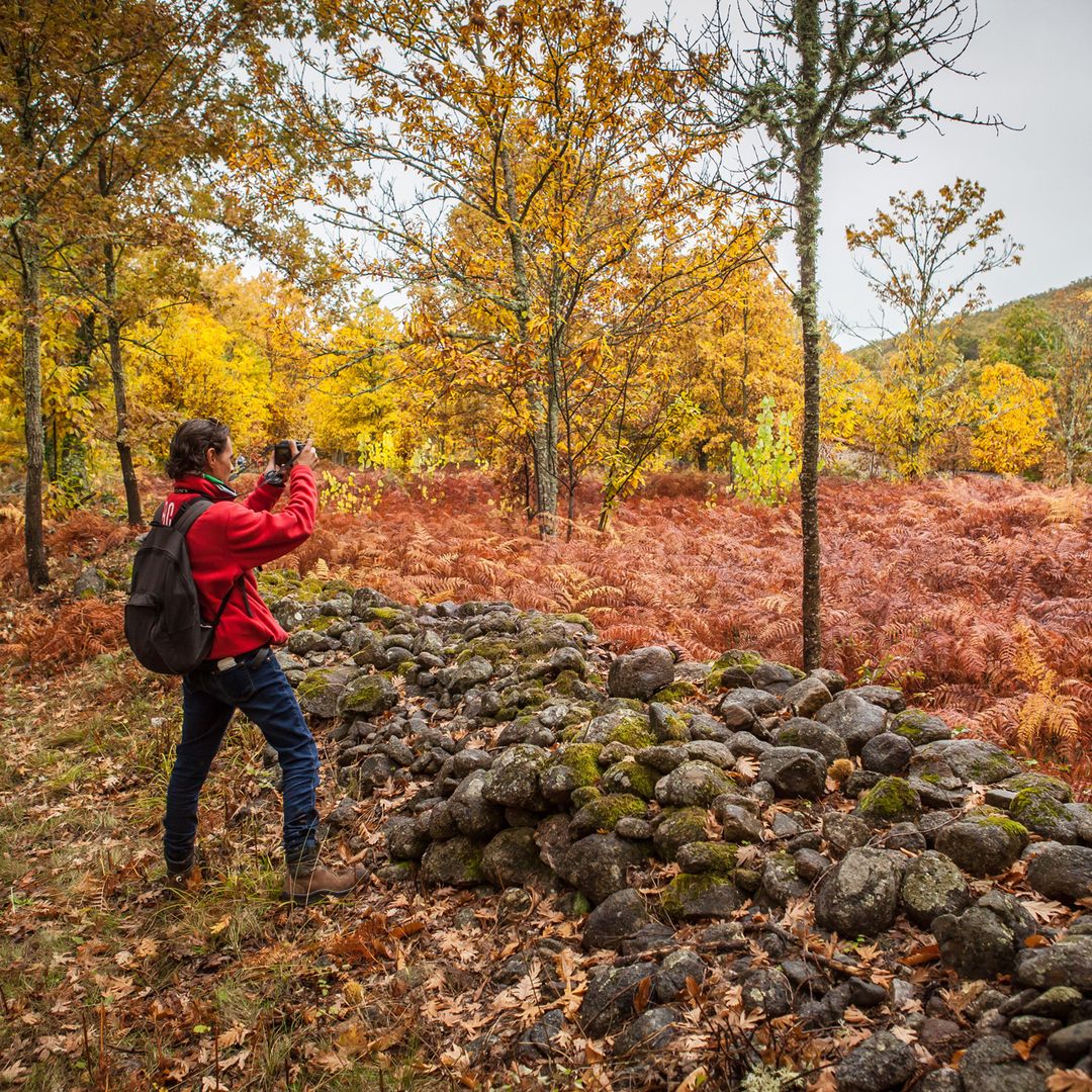 Tenemos los planes que estabas buscando: paseos por el bosque, relax en un balneario, citas con el arte y las fiestas populares más animadas