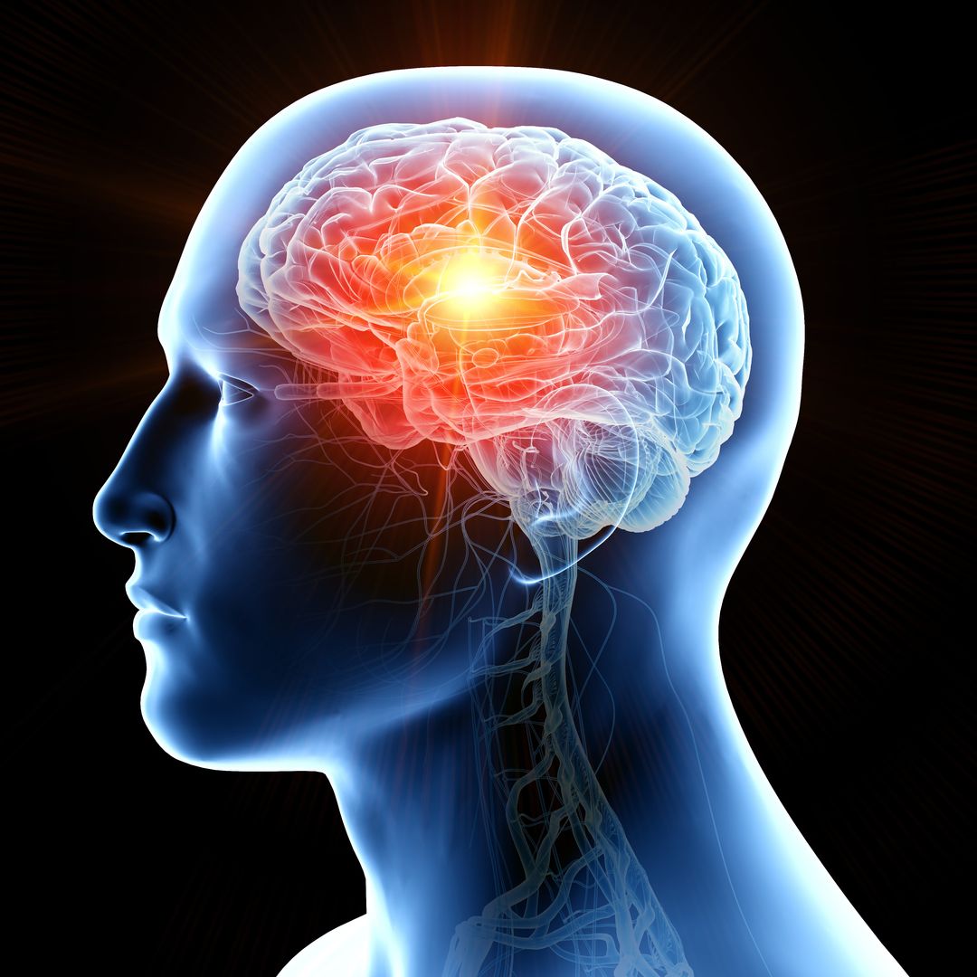 La ciencia revela qué le pasa a tu cerebro cuando mueres: el misterio de los 7 minutos de recuerdos