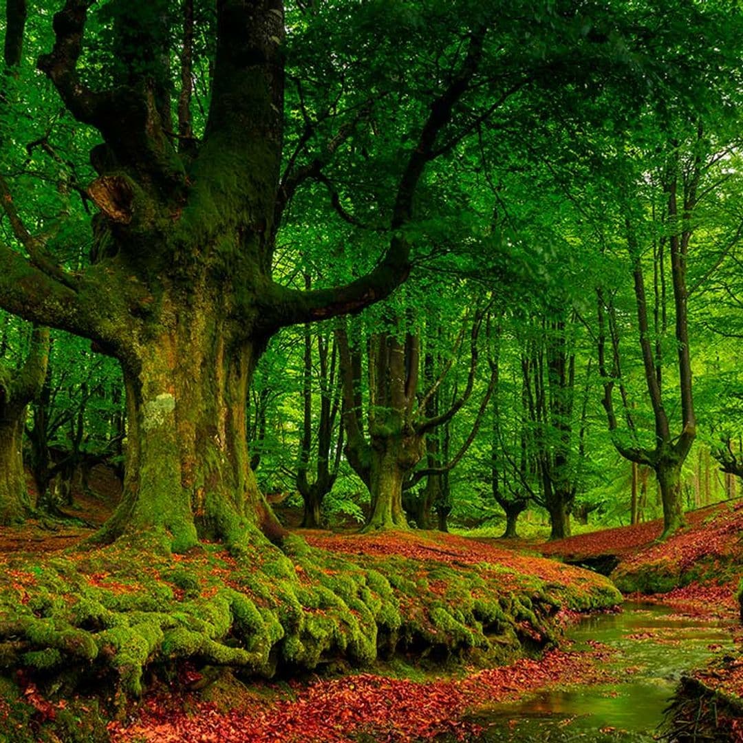 Rincones para perderte en la naturaleza, la tendencia este otoño