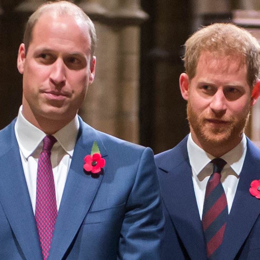 Los príncipes Guillermo y Harry, unidos para saber la verdad de la entrevista de su madre en la BBC