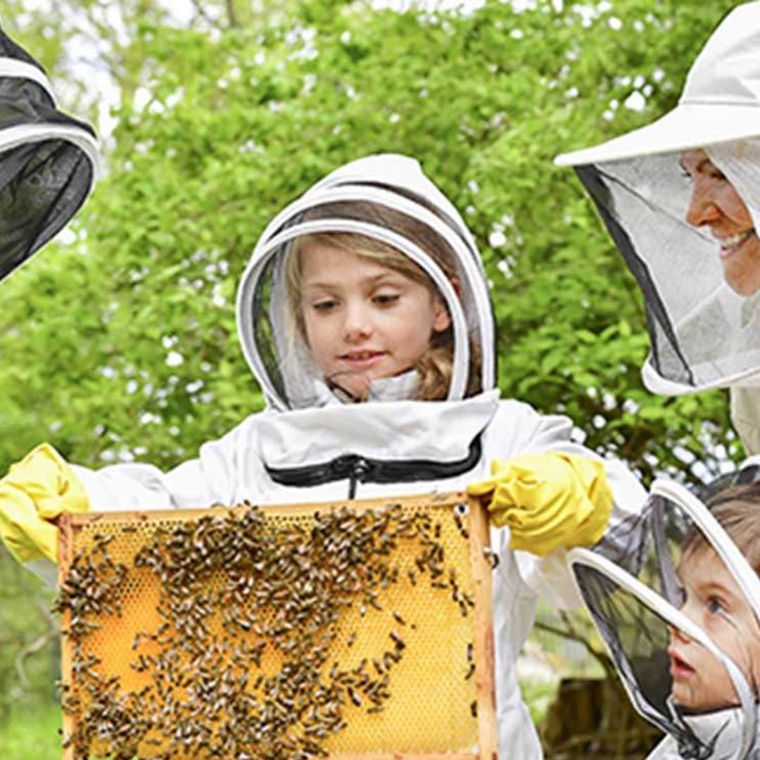 Por qué es tan importante el compromiso de la Familia Real sueca con el medio ambiente