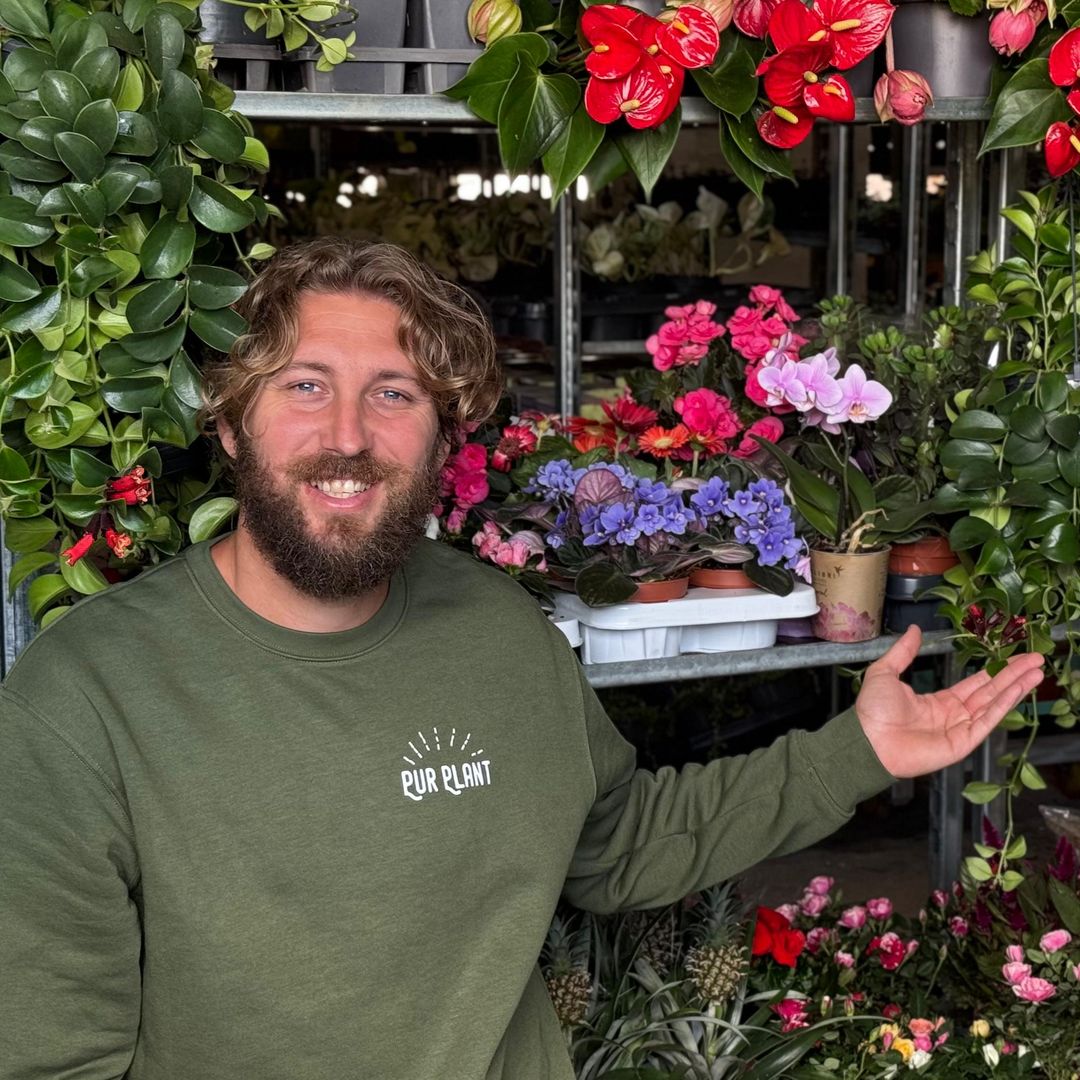 Quentin Brouhon, experto en plantas: "Con este sencillo truco conseguirás que tus dalias florezcan sin descanso"