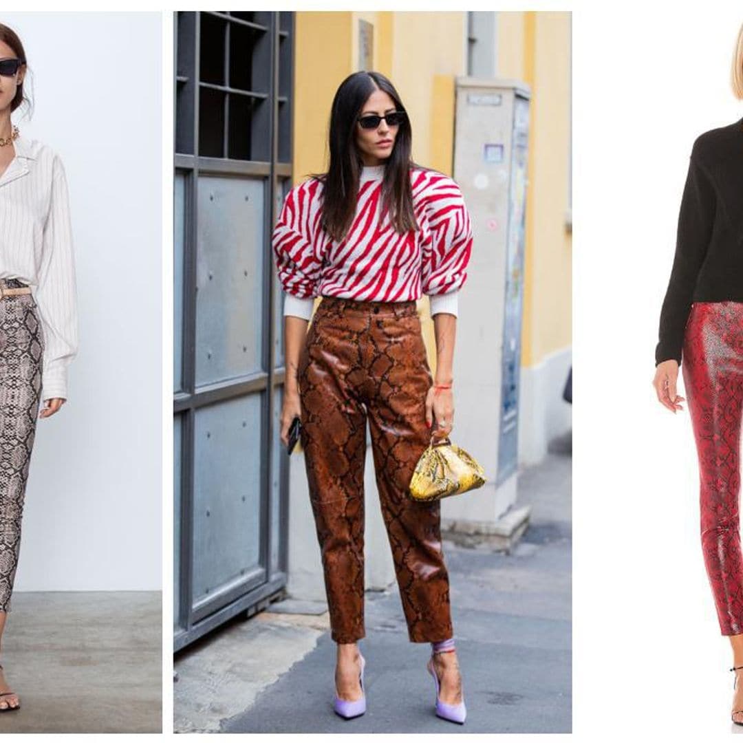 ¡Fiebre por el pitón! 8 pantalones para llevar la tendencia más ‘wild’