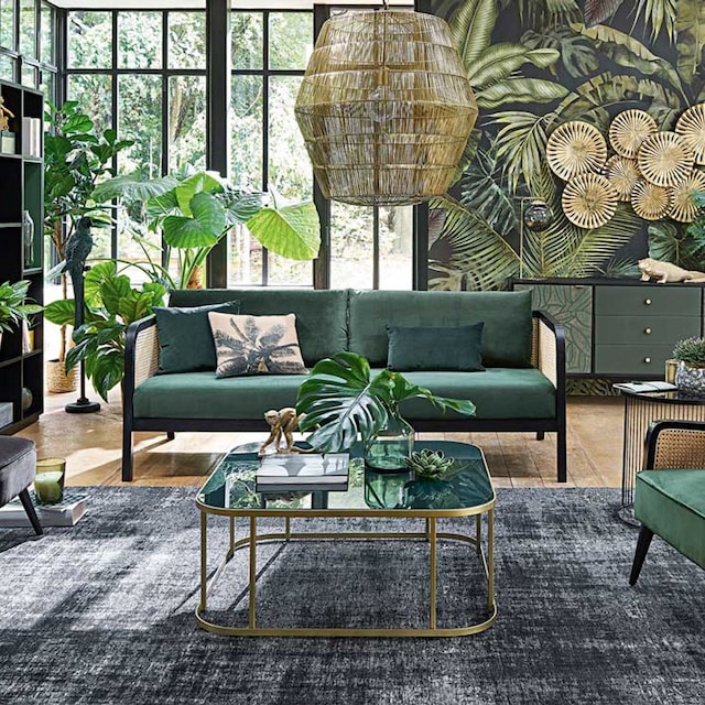 cuidados plantas 2t