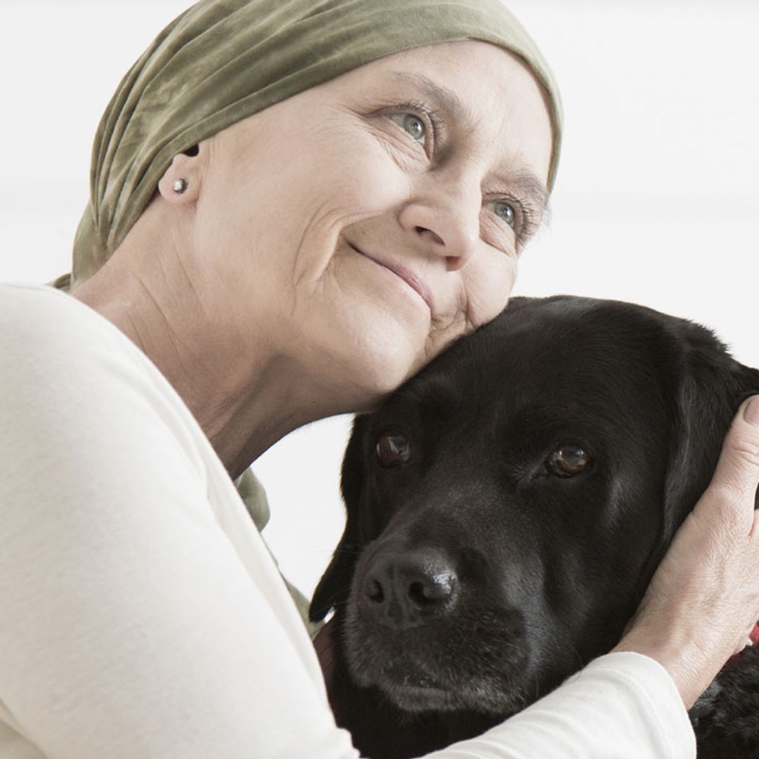 Los perros tienen un olfato capaz de detectar el cáncer