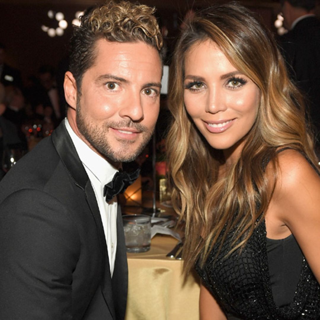 La reacción de David Bisbal a la comentada fotografía de su hija Ella con Rosanna Zanetti