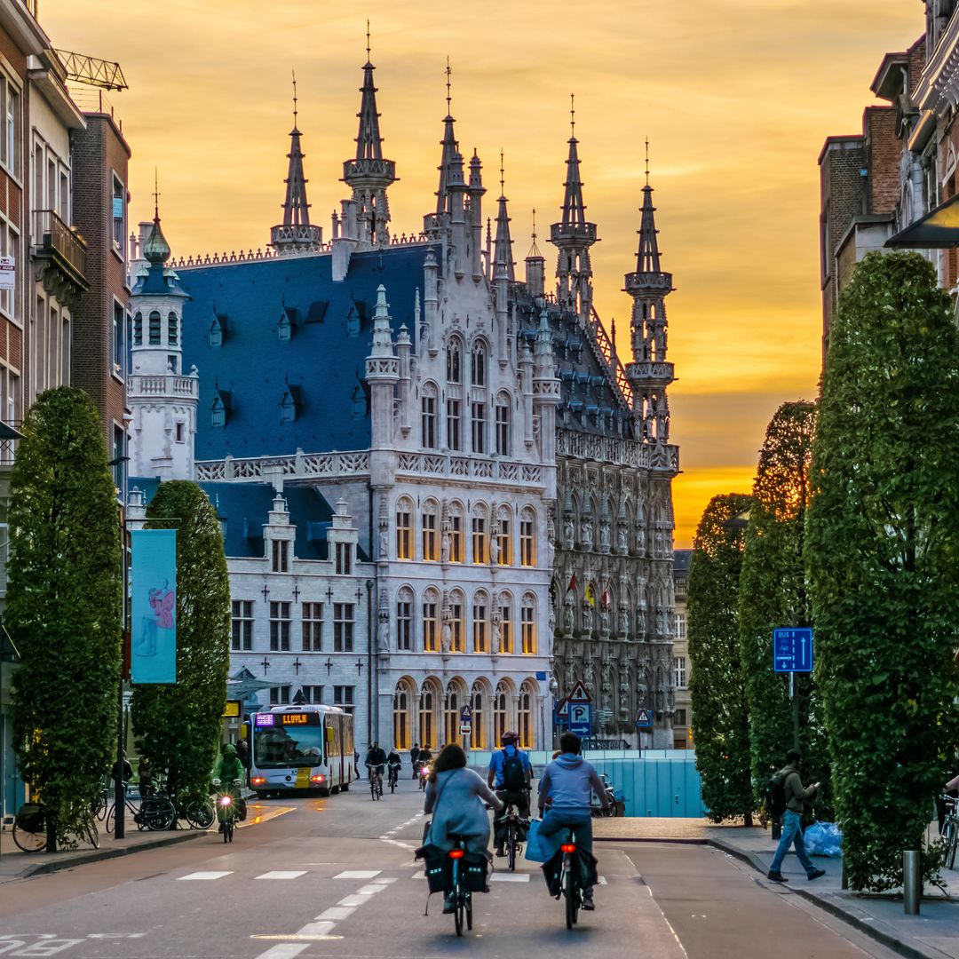 Cúpulas del Historisch Stadhuis van Leuven (Ayuntamiento de Lovaina), desde Bondgenotenlaan, al atardecer, Bélgica