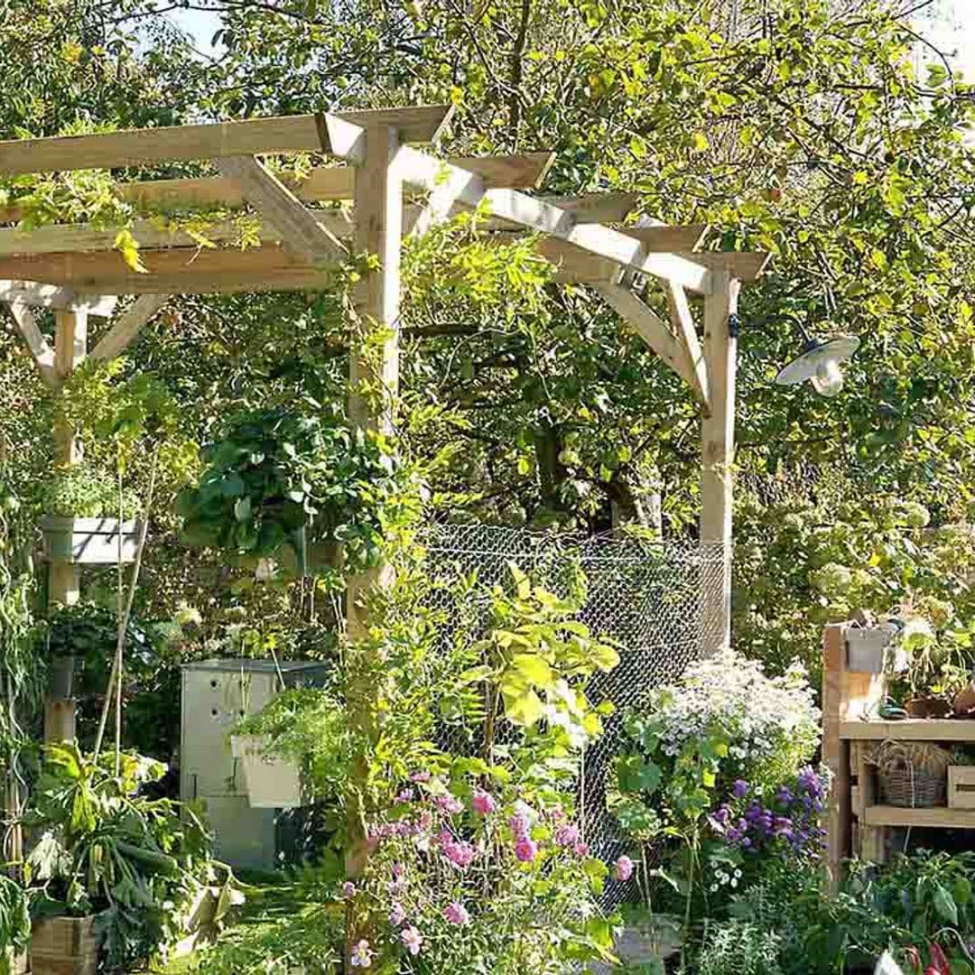 10 plantas que repelen insectos en tu jardín y que son perfectas para el verano