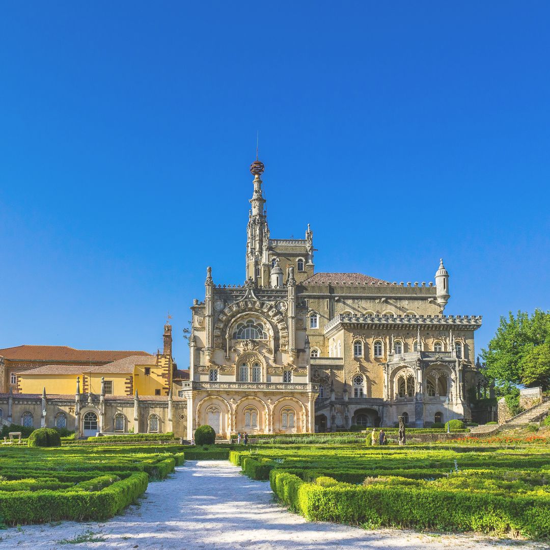 Bosque de Bussaco, Portugal