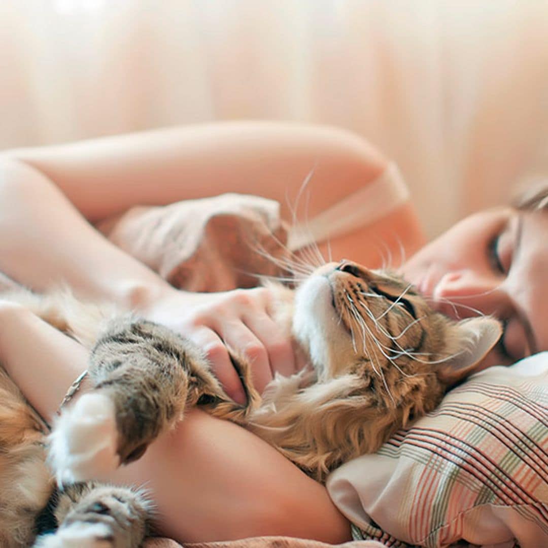Sara Fernández, veterinaria, advierte sobre dormir con tu gato: "Más allá de los posibles riesgos, puede aportar numerosos beneficios emocionales"