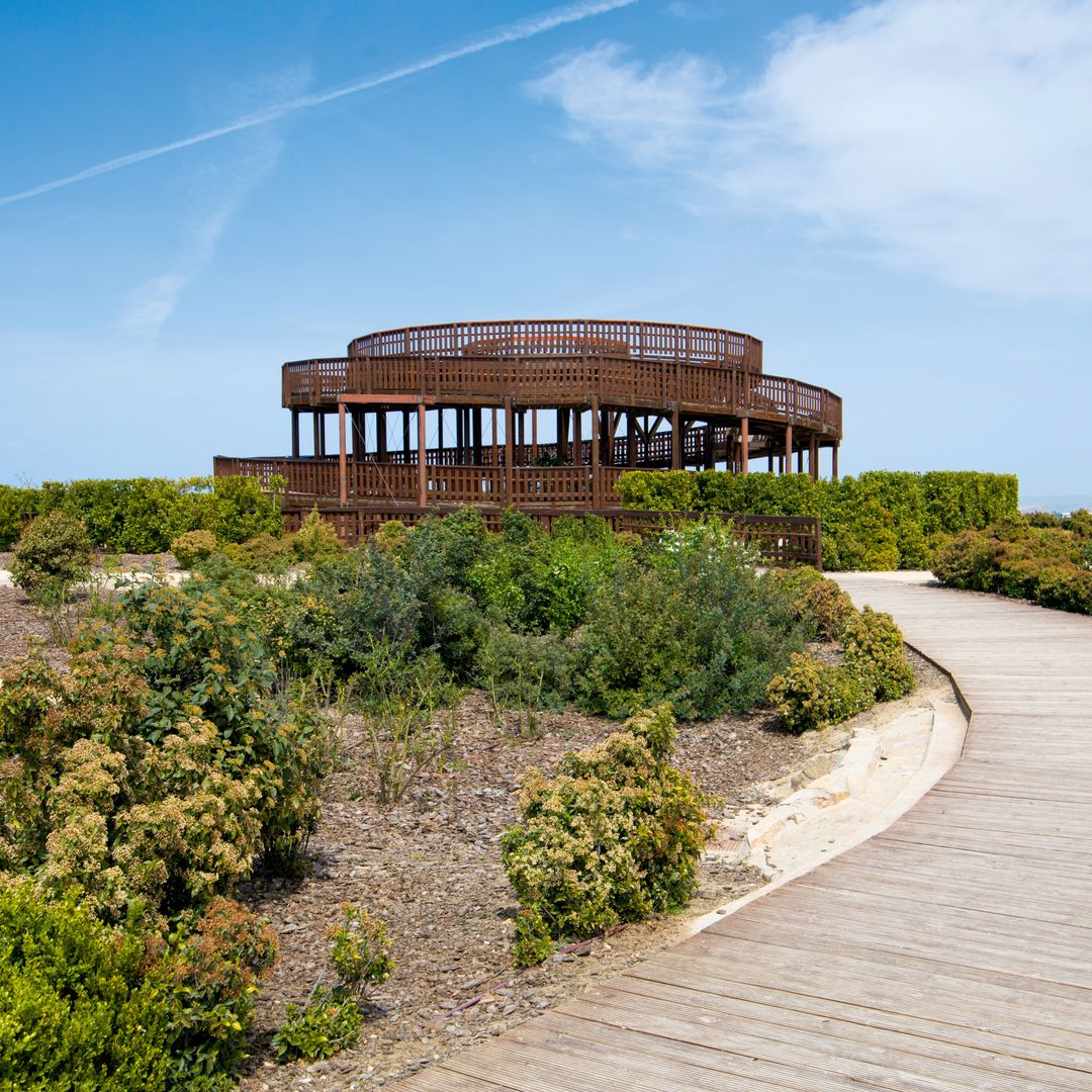 Parque Forestal de Valdebebas-Felipe VI, Madrid
