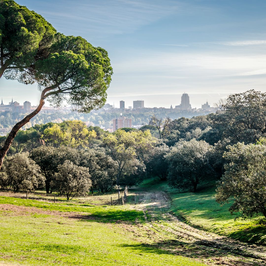 La Casa de Campo es uno de los mejores lugares de Madrid para desconectar, relajarse o hacer deporte.
