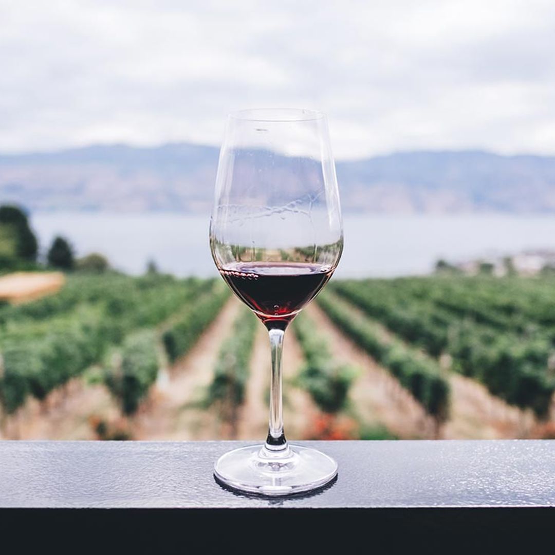 15 vinos tintos para disfrutar este otoño