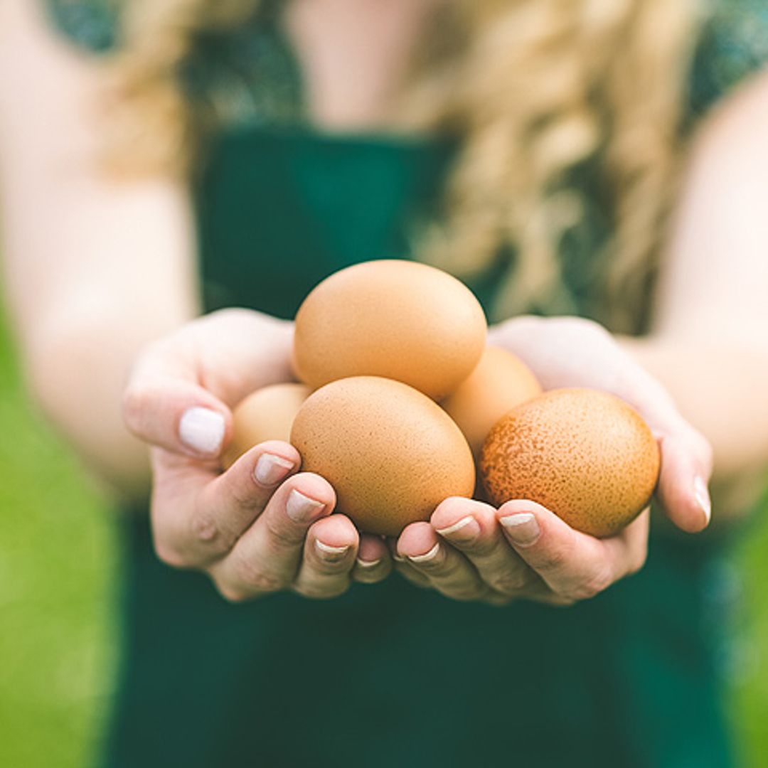 ¿Por qué tienes que comer huevos ecológicos?