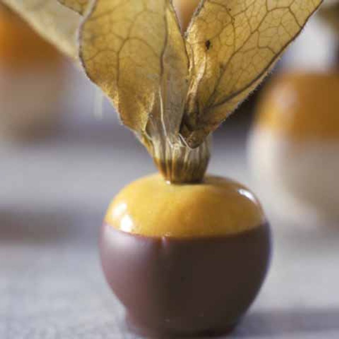 Physalis recubiertos de chocolate