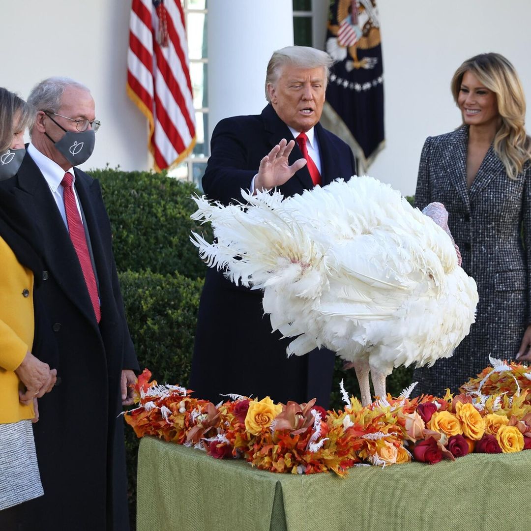 Así fue el último indulto de Donald Trump a los pavos ‘Corn’ y ‘Cob’ previo a Thanksgiving