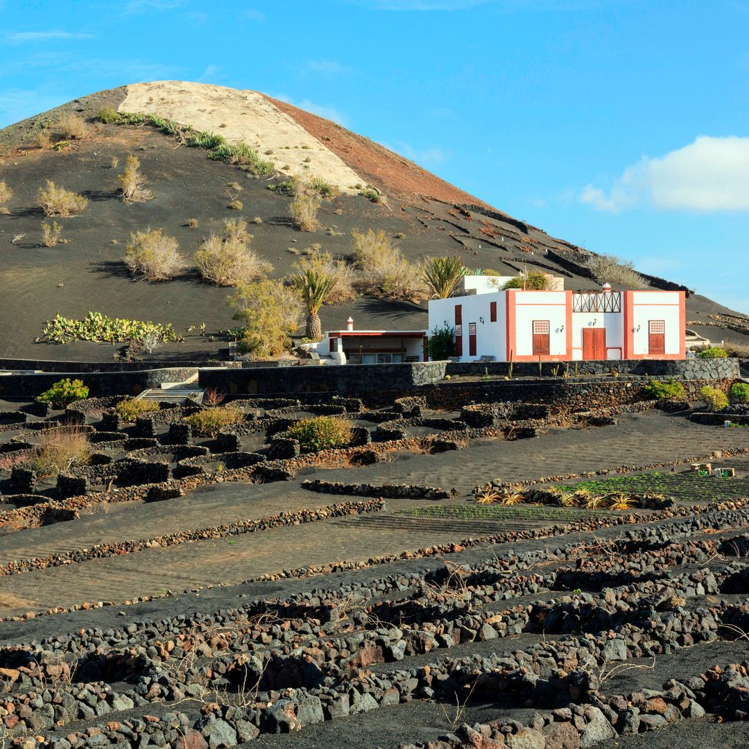 Viñedo y bodega en La Geria, en la isla de Lanzarote