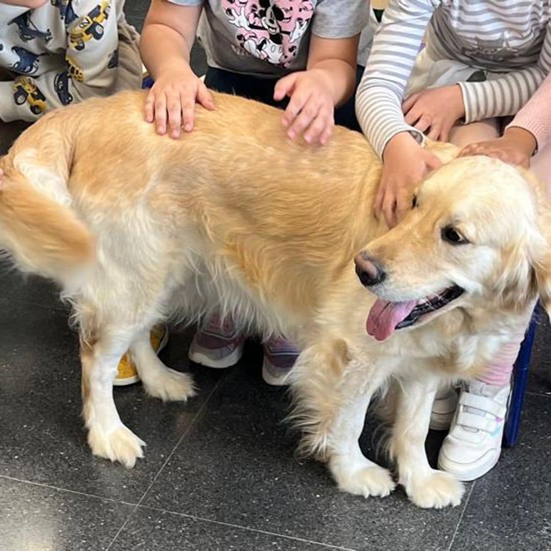 Mª Ángeles Toscano, veterinaria, sobre la clave por la que los perros de terapia ayudan a los niños de la DANA: "Los animales no juzgan ni sienten lástima"