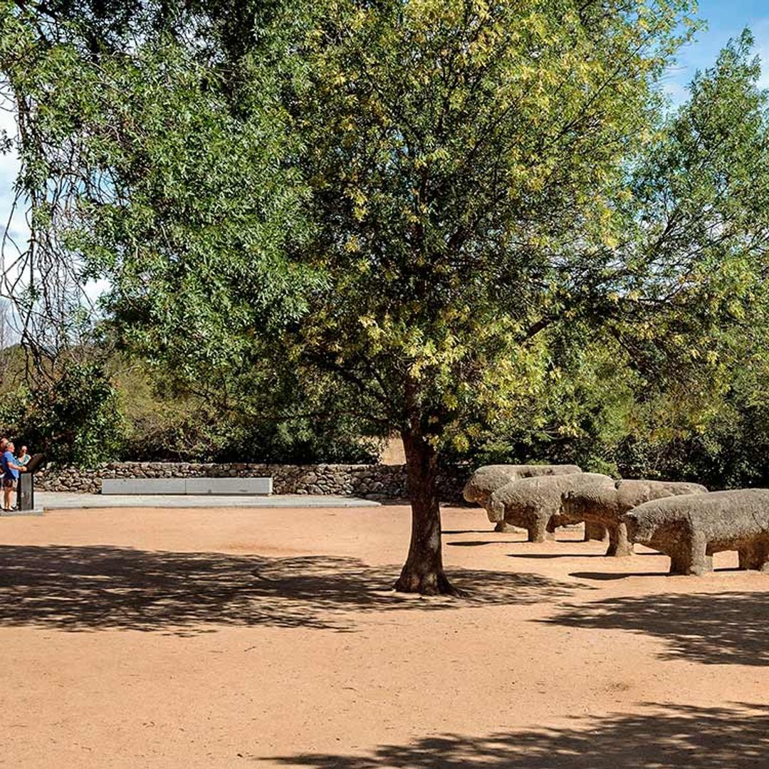 toros guisando fyaar2