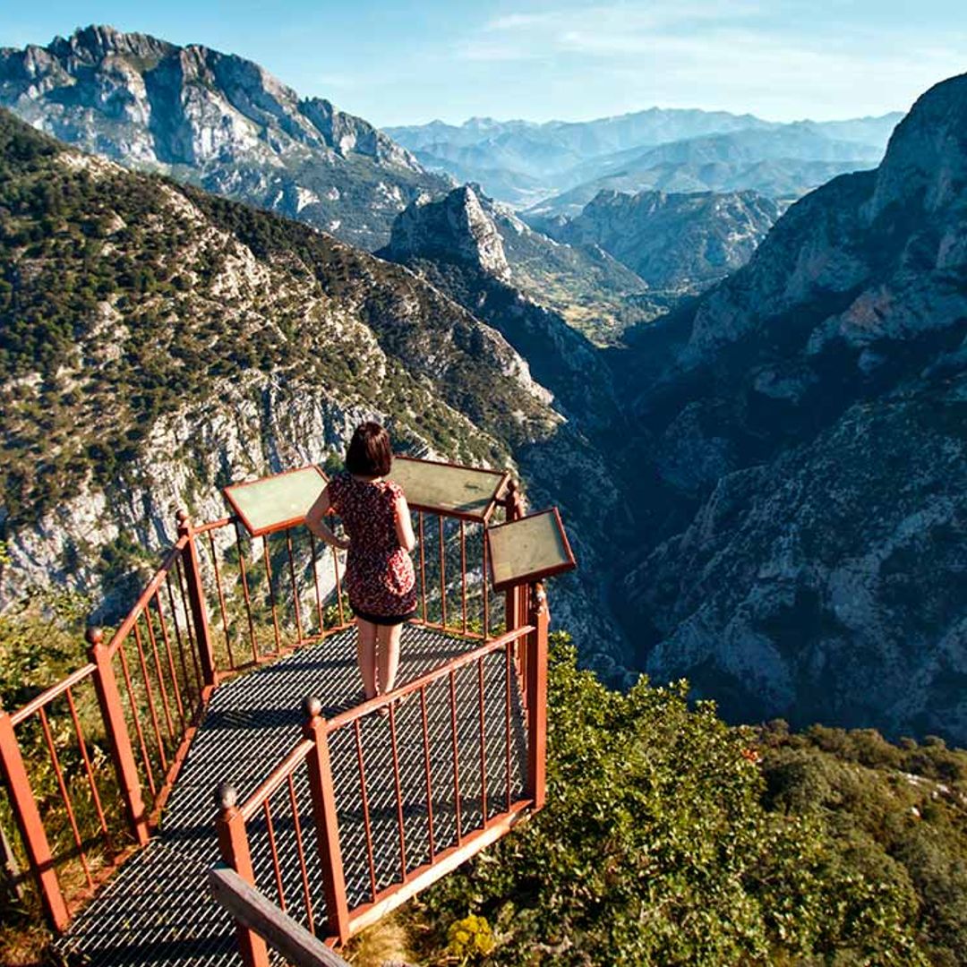 picos europa