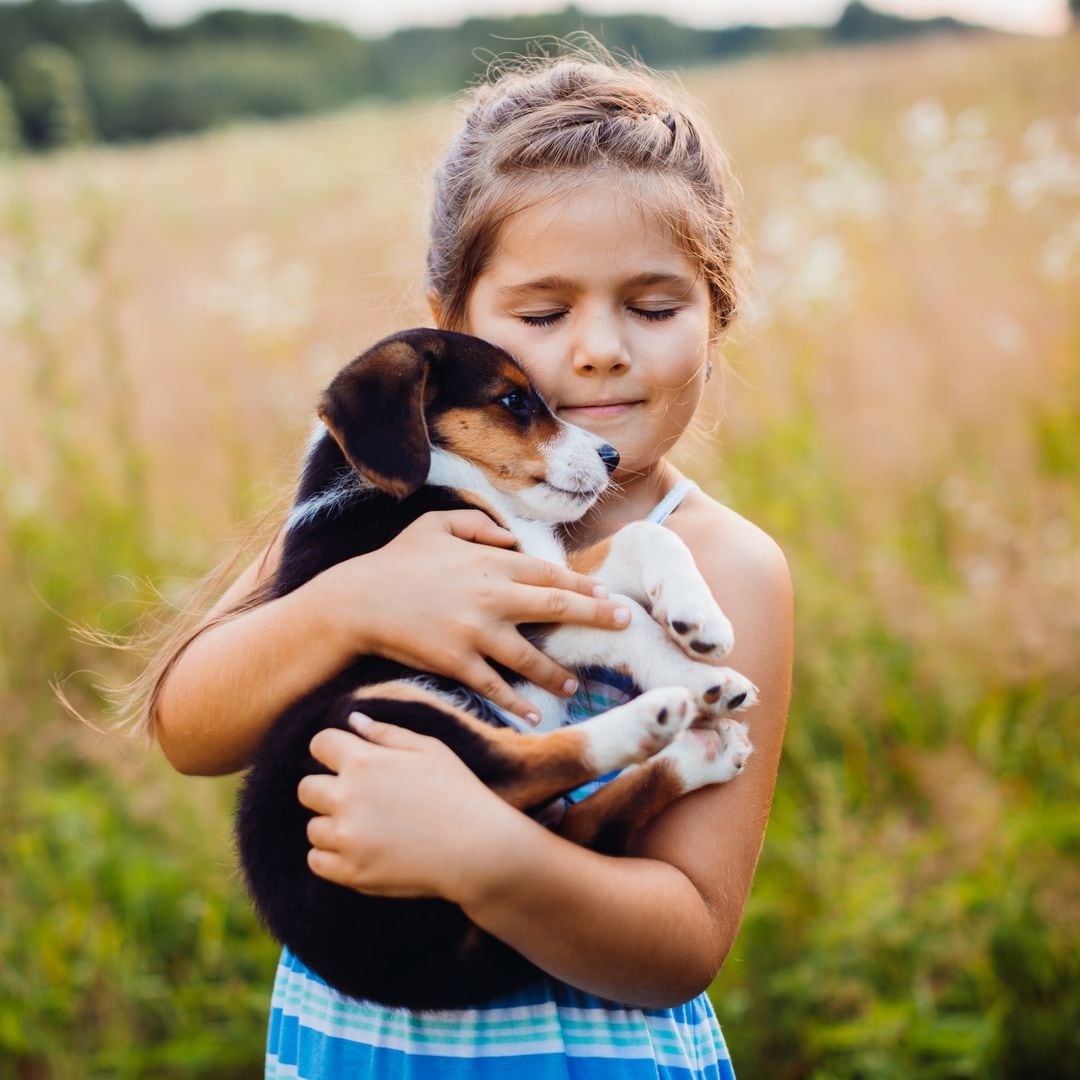 4 consejos para dar la bienvenida a tu gatito o cachorro este verano