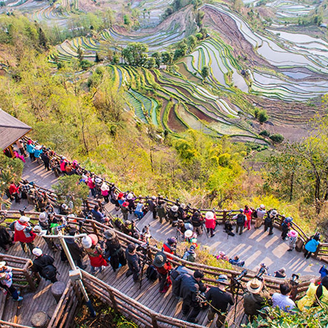 El paisaje de arrozales de China que parece un cuadro