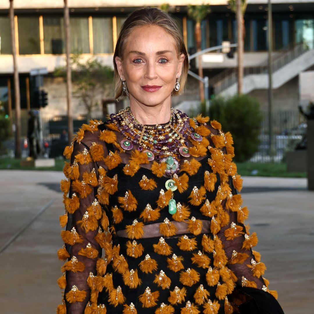 La terrorífica revelación de Sharon Stone sobre su derrame: acusa a su exmarido de autorizar una cirugía cerebral a sus espaldas