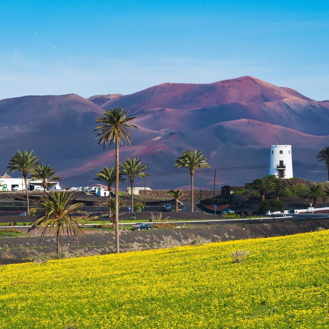 Parque Nacional de Timanfaya. Lanzarote