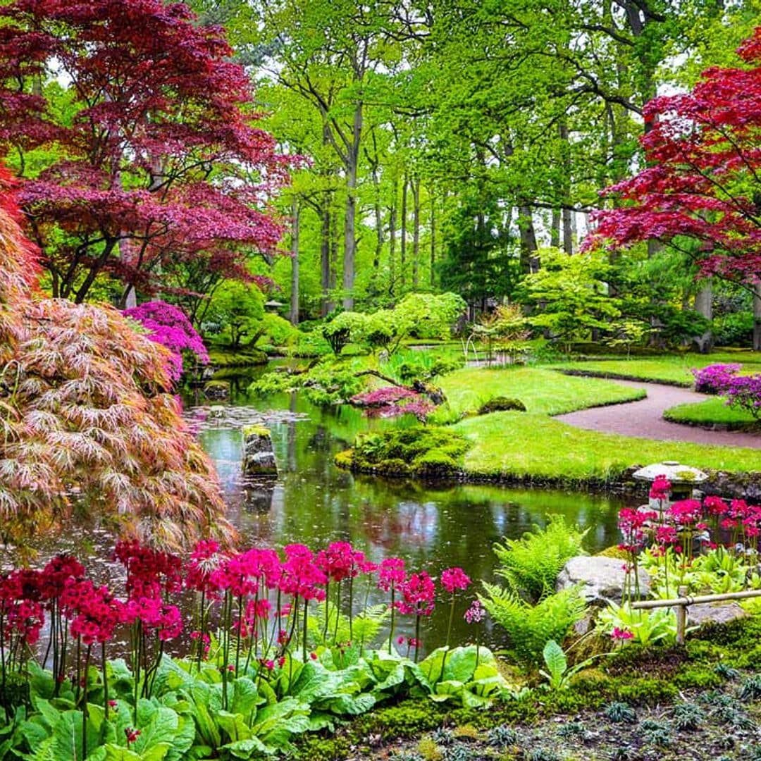 Cómo plantear el diseño de un jardín japonés
