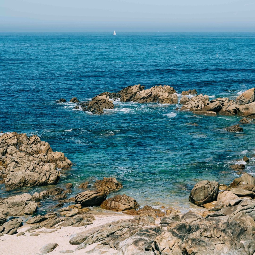 Turismo de Matosinhos