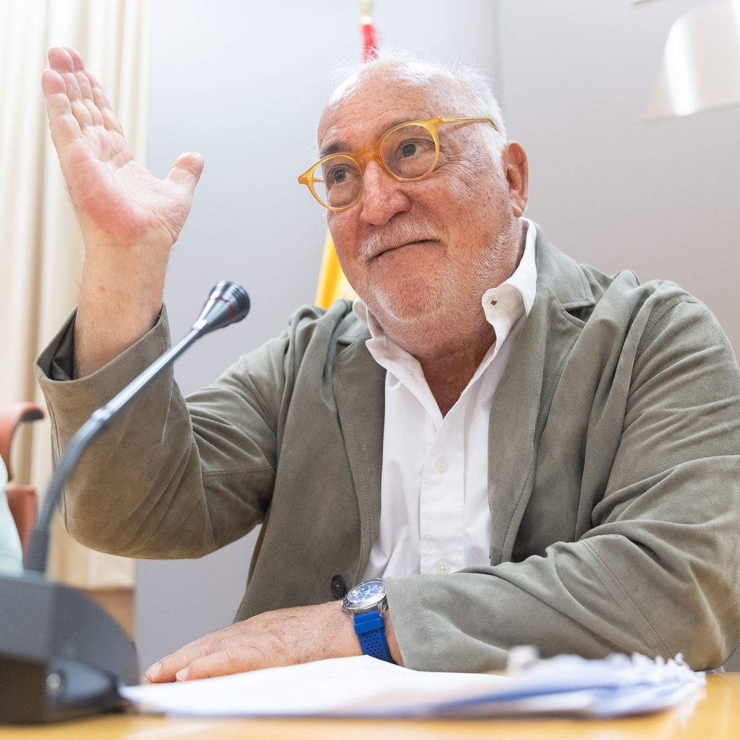 Pere Navarro, director de la DGT, tajante sobre la baliza V-16: "No hay marcha atrás"
