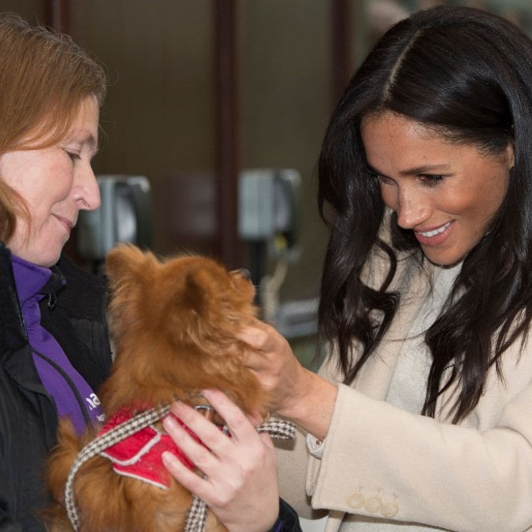Meghan Markle volvió a saltarse el protocolo y mostró su amor por los perros