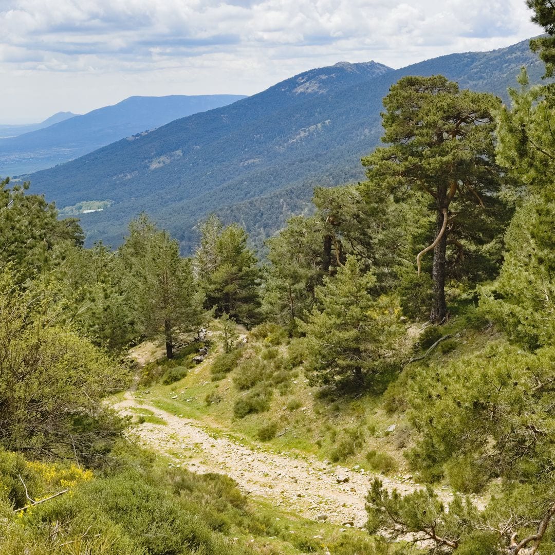 Valle de la Fuenfría, Madrid