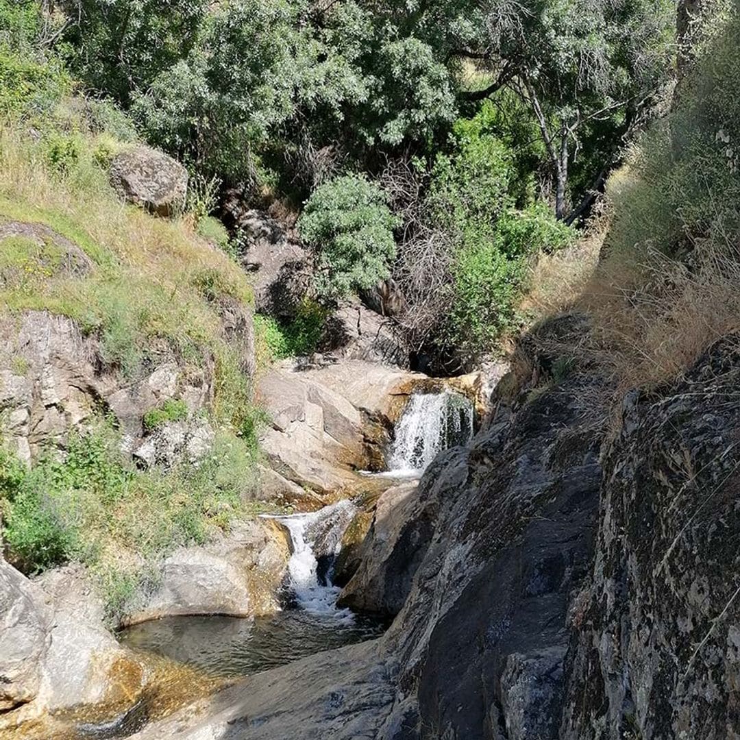 img20220605111840