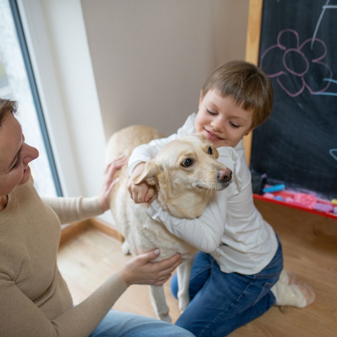 Así ayudan los perros a los niños con autismo: la terapia que mejora su día a día
