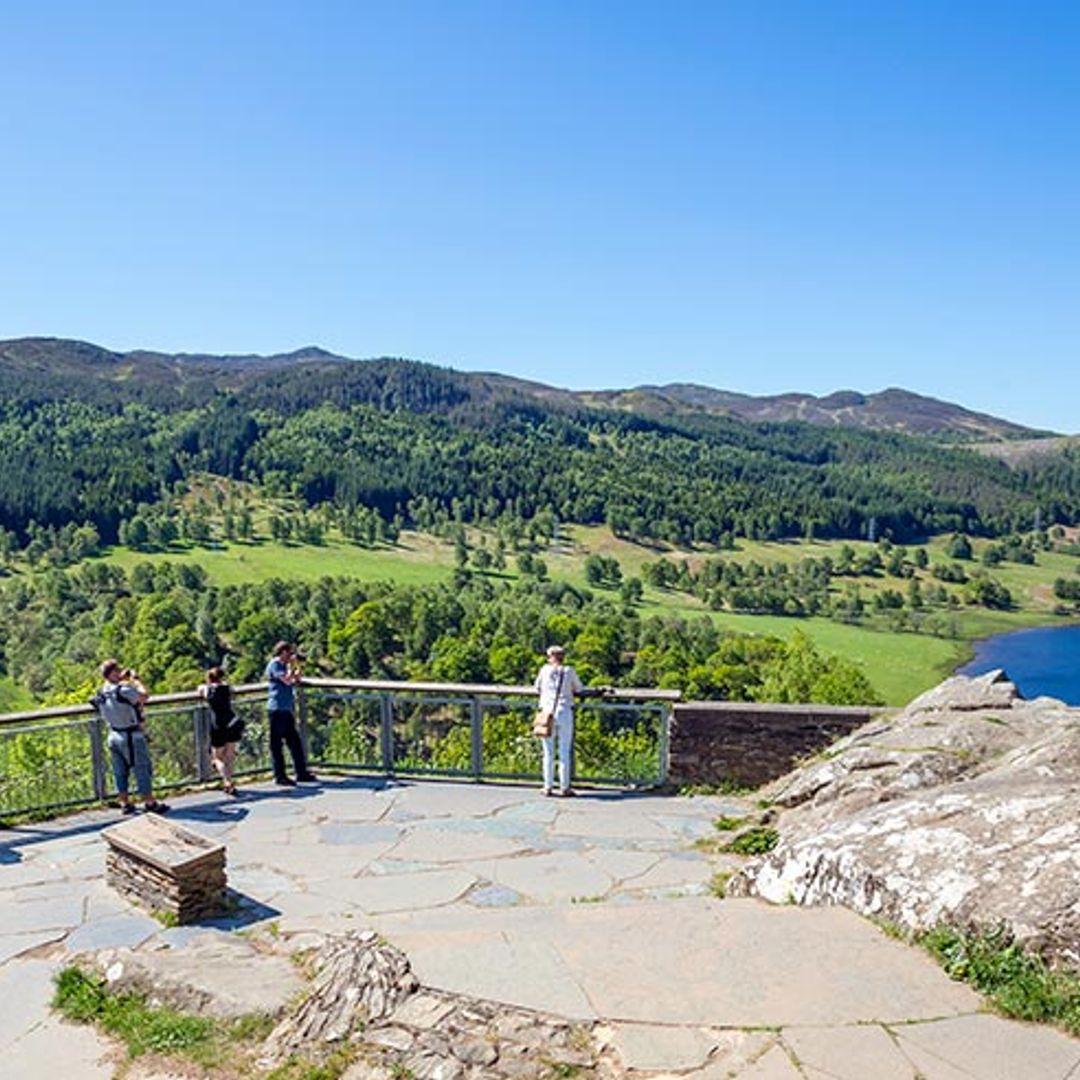 Puedes convertirte en Lady o Lord y proteger los bosques de Escocia ¿quieres saber cómo?
