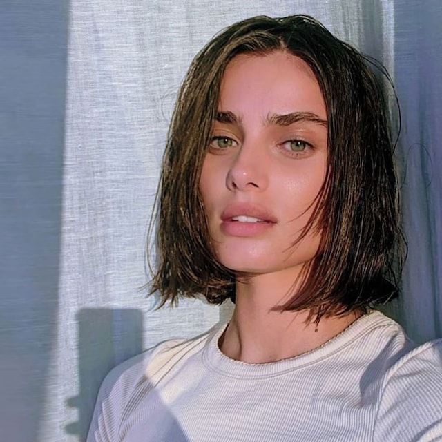 taylor hill pelo