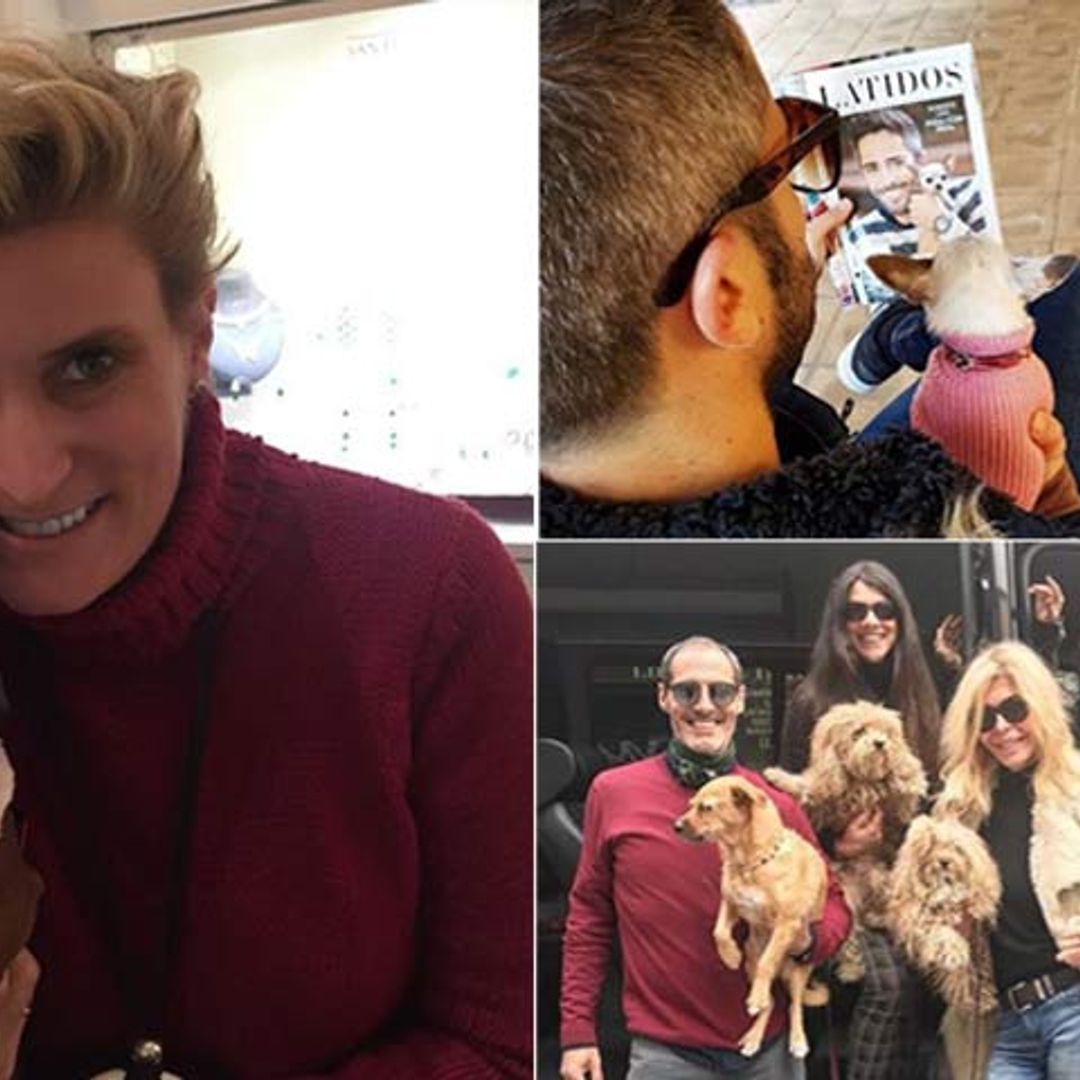 Las mascotas de las 'celebrities', las otras protagonistas de Instagram