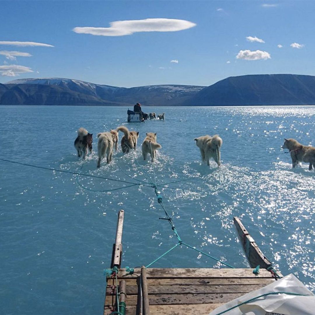 La impactante imagen viral que demuestra los efectos del cambio climático