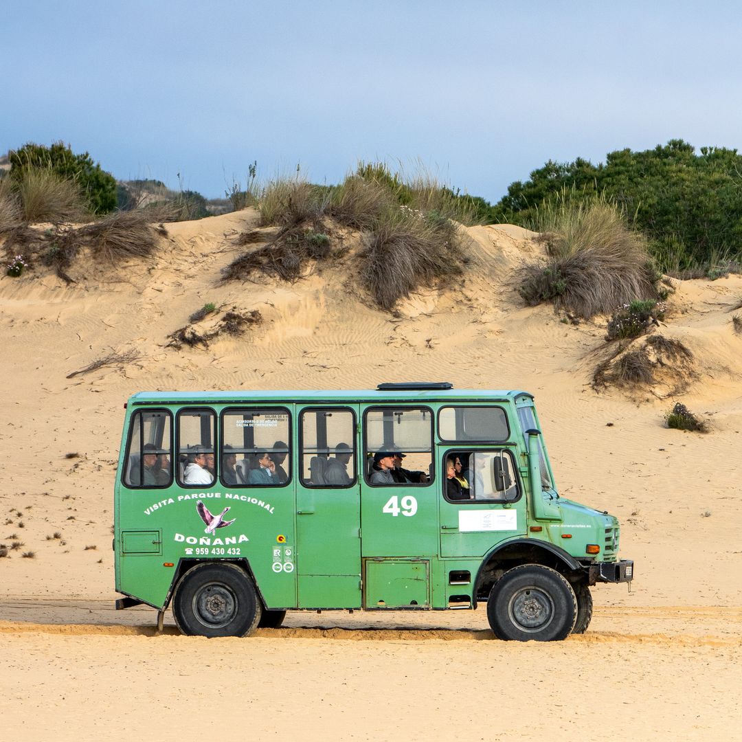 Autobús todoterreno, Parque Nacional de Doñana, Huelva