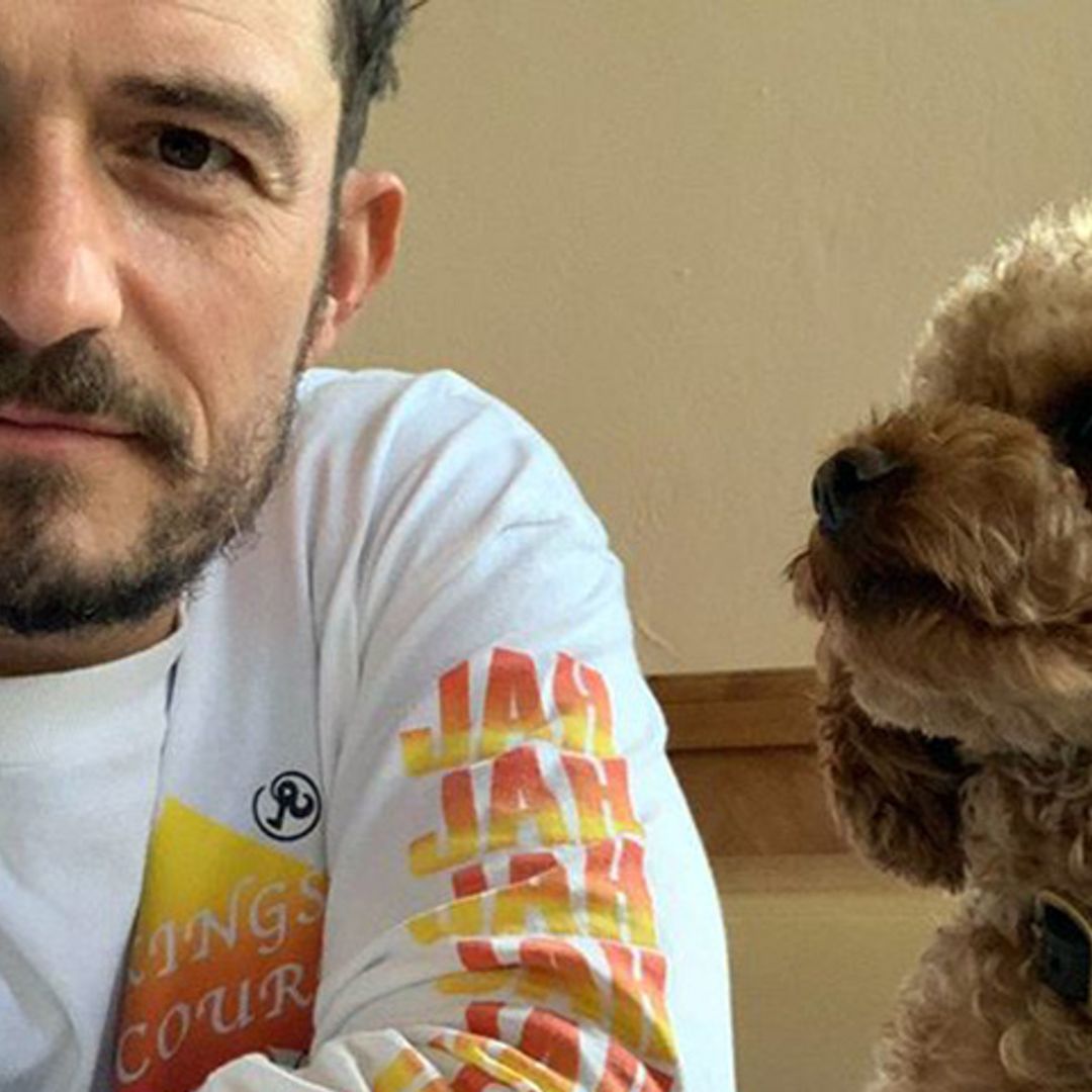 Orlando Bloom homenajea a su perro fallecido tatuándose su nombre