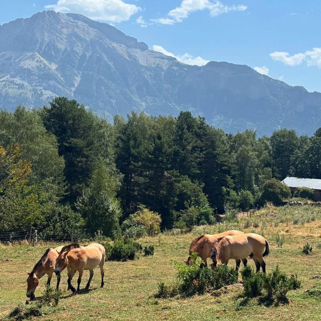 Ruta al ibón de Piedrafita, Pirineo de Huesca, Aragón