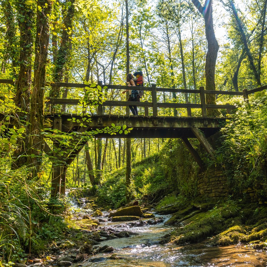 Puente en el monte Pagoeta, Guipuzcoa