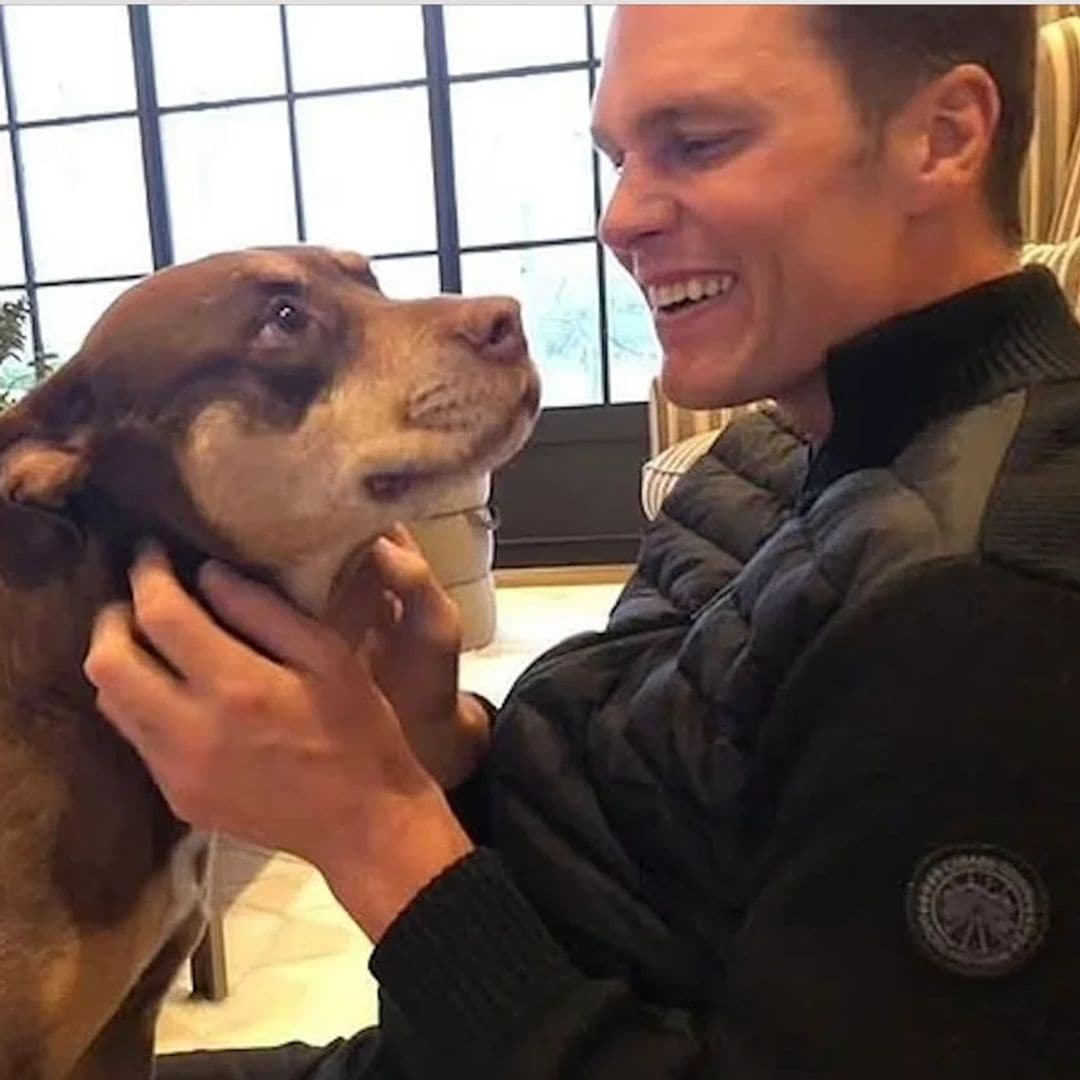 La controvertida confesión de Tom Brandy al contar que su perra es un clon de su anterior mascota