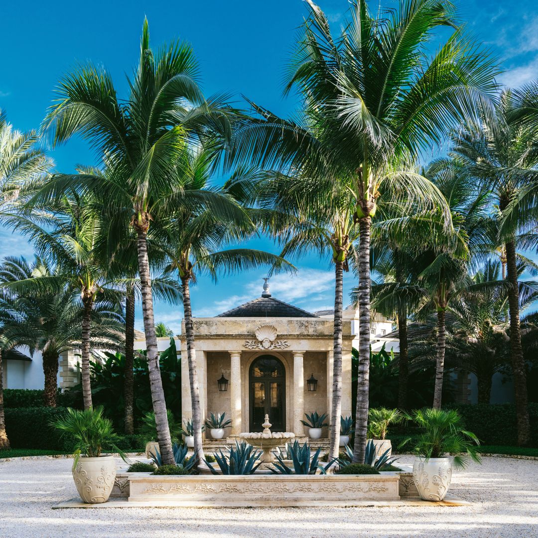 Patio con numerosas y altas palmeras que rodea la entrada a una casa