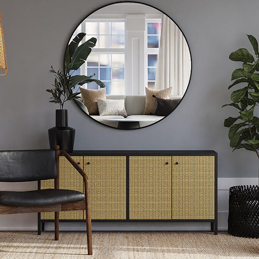 Plantas de interior con porte vertical y alargadas perfectas para decorar cualquier rincón