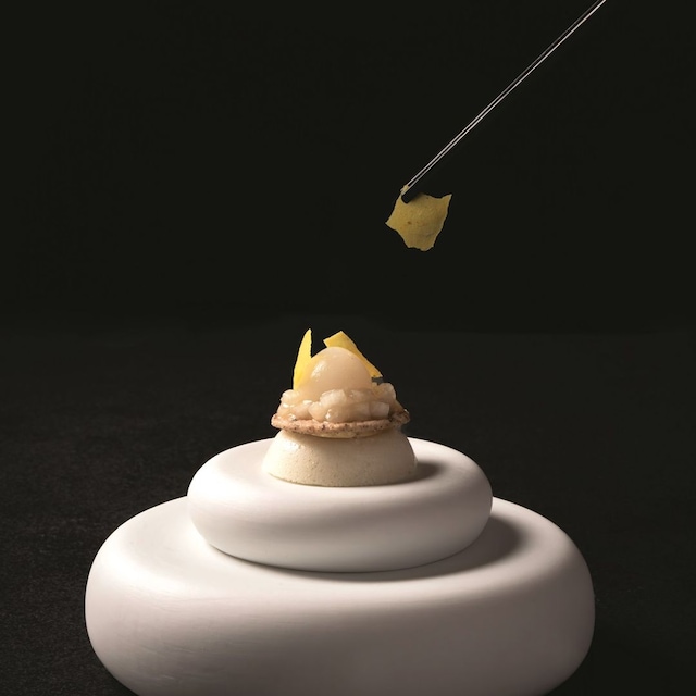 plato gourmet
