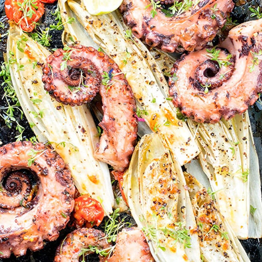 Pulpo a la brasa con endivias y tomates al vino blanco