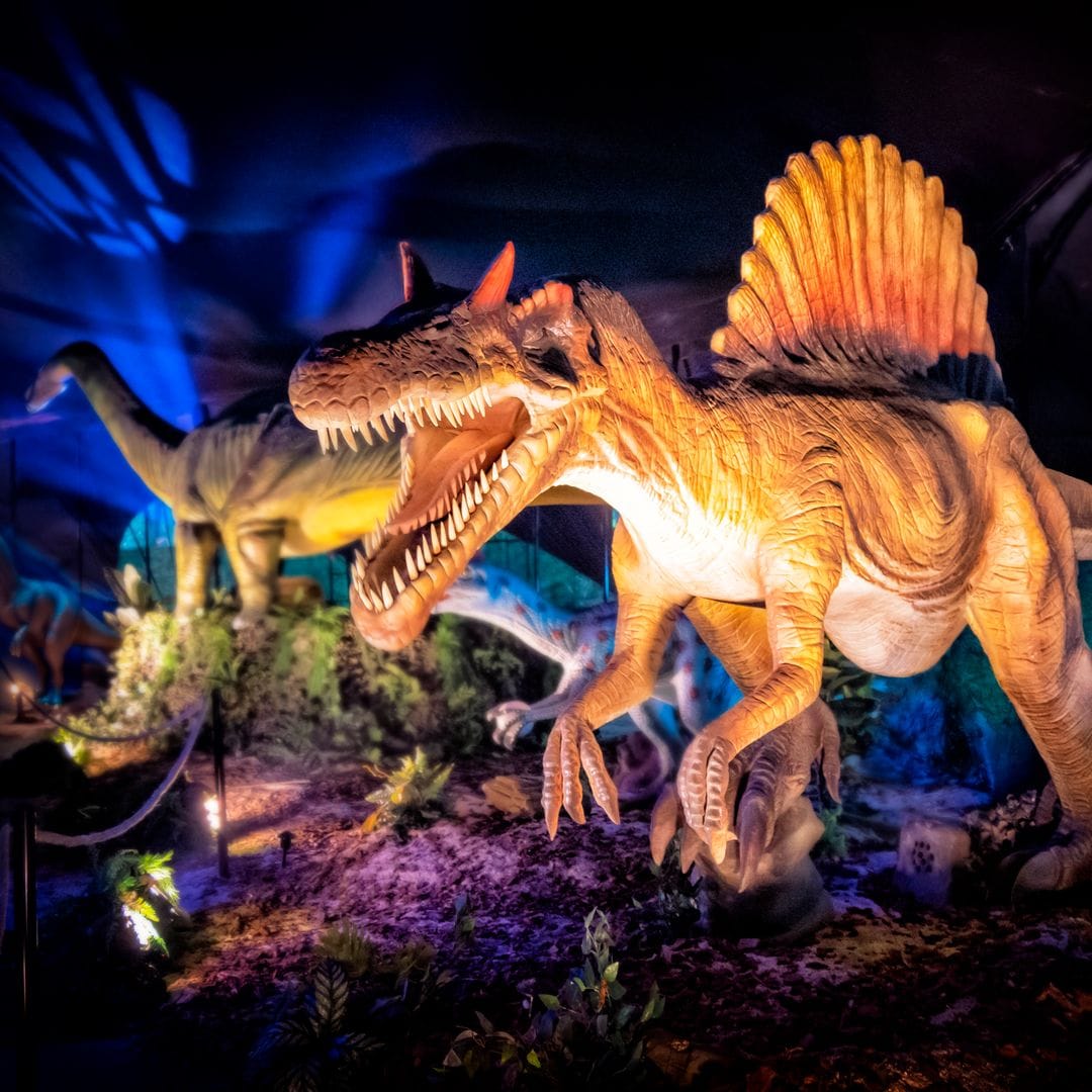 Exposición sobre dinosaurios en Madrid, Saurios